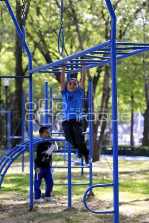 REHABILITACIÓN PARQUE JUÁREZ