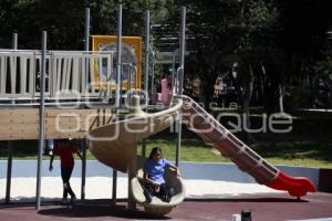 REHABILITACIÓN PARQUE JUÁREZ