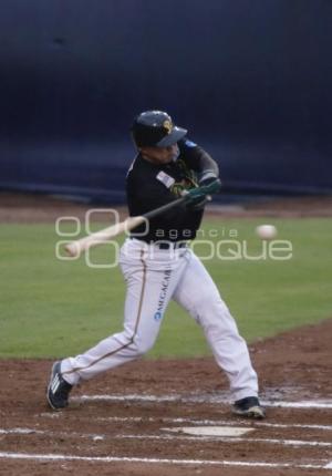 BÉISBOL . PERICOS VS TIGRES