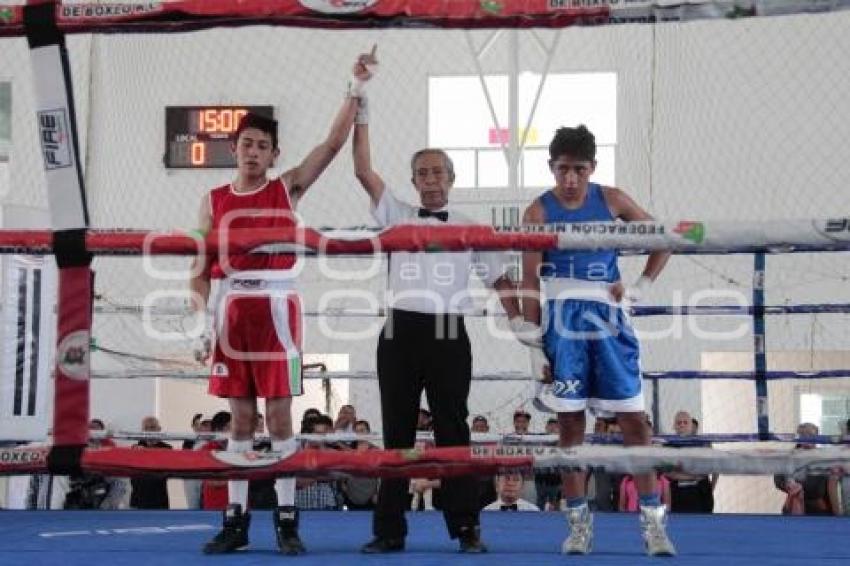 TORNEO DE LOS BARRIOS DE BOX