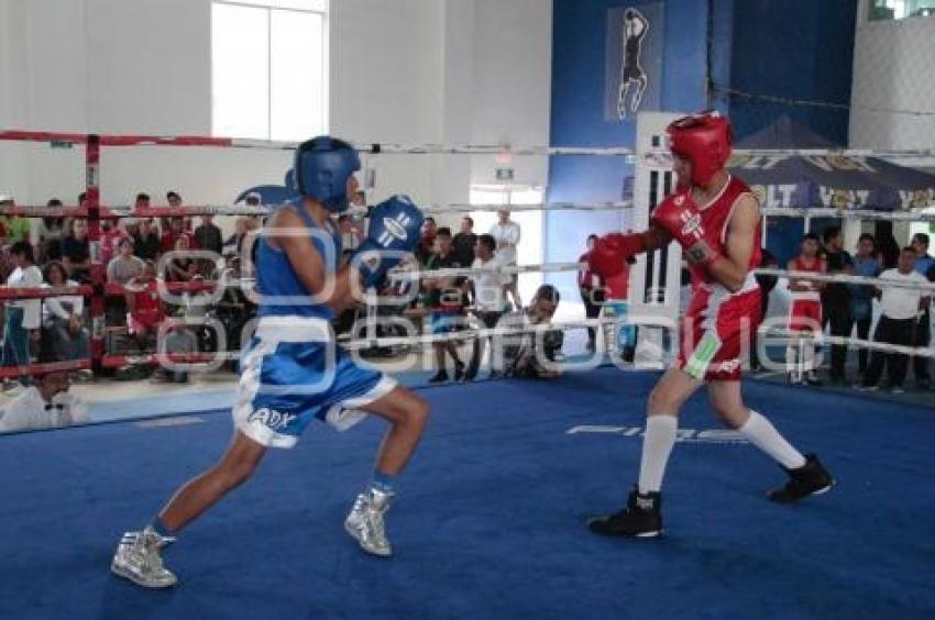 TORNEO DE LOS BARRIOS DE BOX