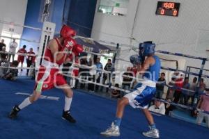 TORNEO DE LOS BARRIOS DE BOX