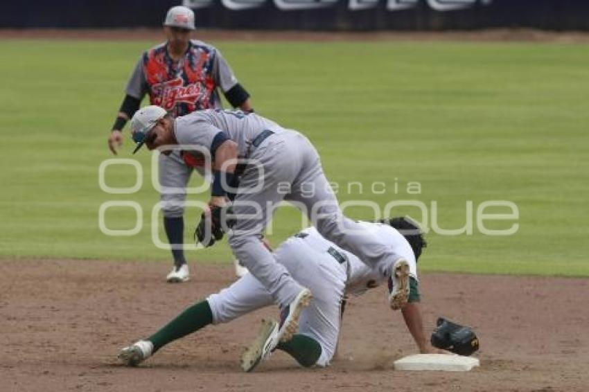 BÉISBOL . PERICOS VS TIGRES