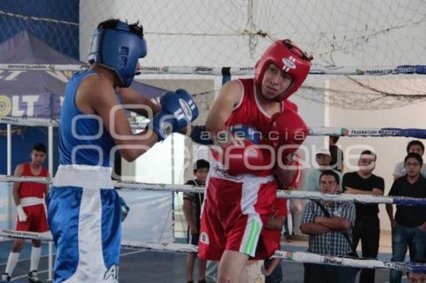 TORNEO DE LOS BARRIOS DE BOX