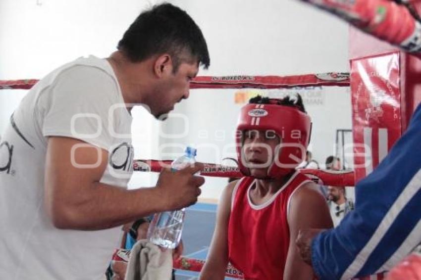 TORNEO DE LOS BARRIOS DE BOX