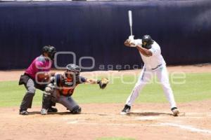 BÉISBOL . PERICOS VS TIGRES