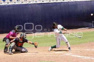 BÉISBOL . PERICOS VS TIGRES