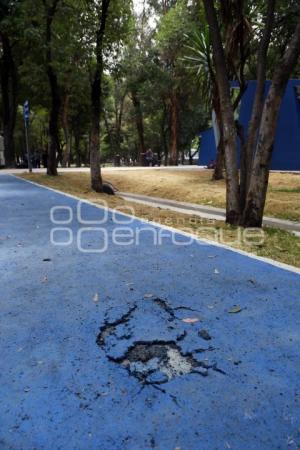 DAÑOS PARQUE JUAREZ