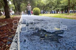 DAÑOS PARQUE JUAREZ