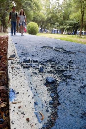 DAÑOS PARQUE JUAREZ