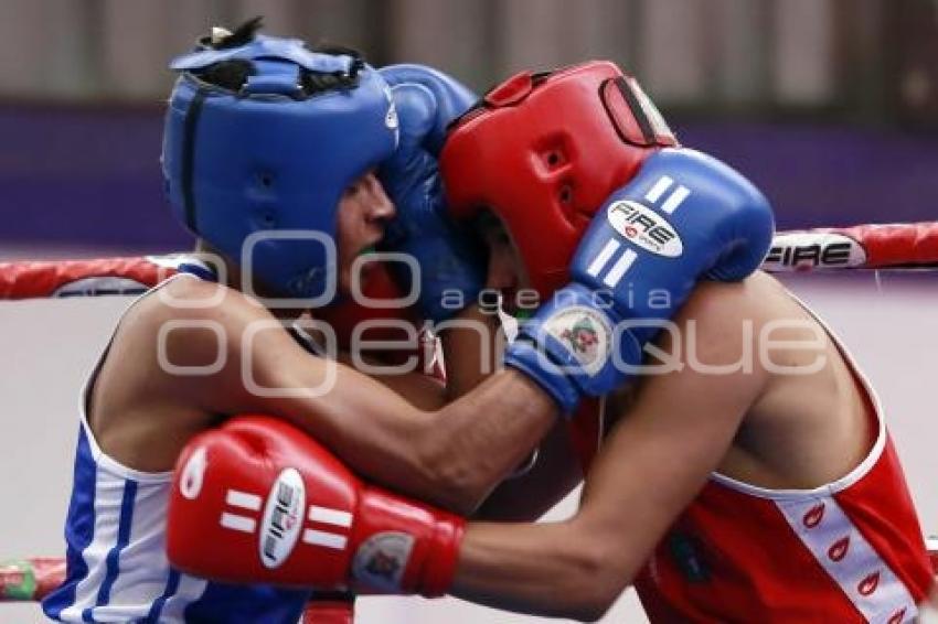 TORNEO DE LOS BARRIOS DE BOX