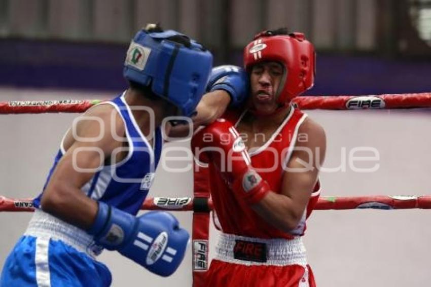 TORNEO DE LOS BARRIOS DE BOX