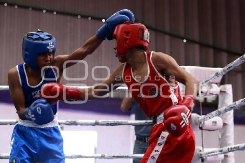 TORNEO DE LOS BARRIOS DE BOX