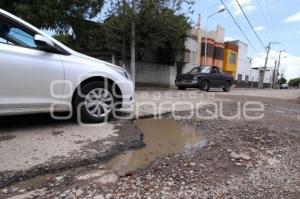 BACHES