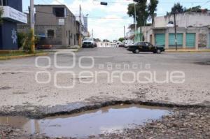 BACHES