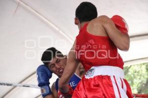 TORNEO DE LOS BARRIOS DE BOX