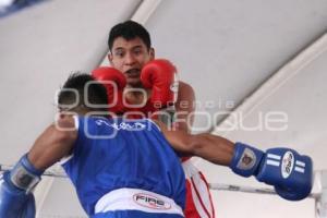 TORNEO DE LOS BARRIOS DE BOX