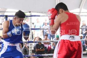 TORNEO DE LOS BARRIOS DE BOX