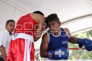 TORNEO DE LOS BARRIOS DE BOX