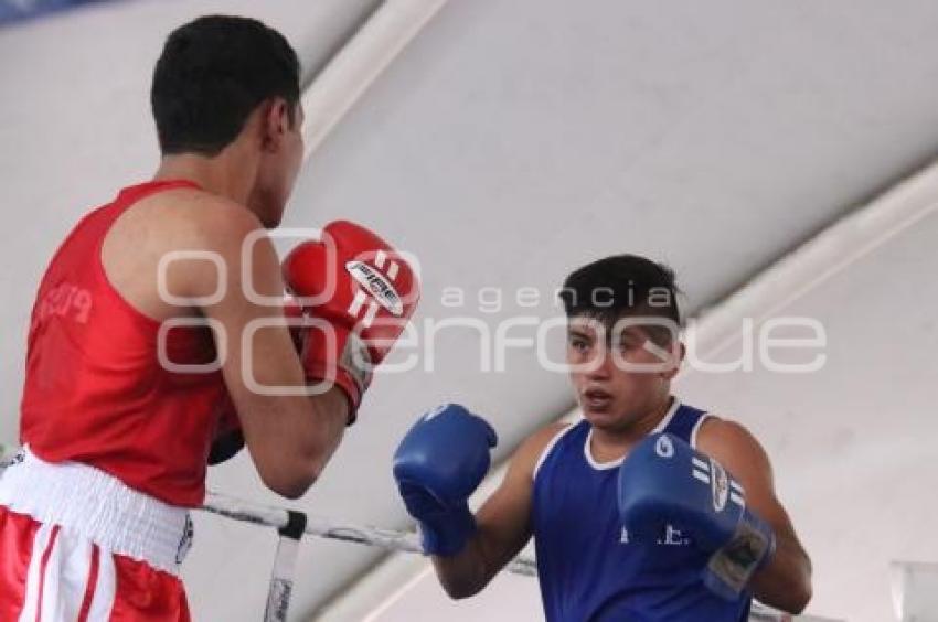 TORNEO DE LOS BARRIOS DE BOX