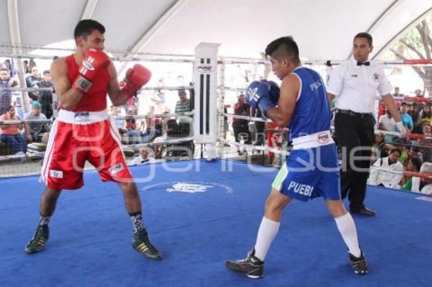 TORNEO DE LOS BARRIOS DE BOX