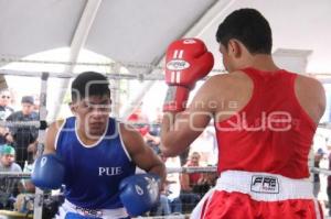 TORNEO DE LOS BARRIOS DE BOX