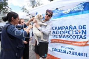 CAMPAÑA DE ADOPCIÓN  DE MASCOTAS