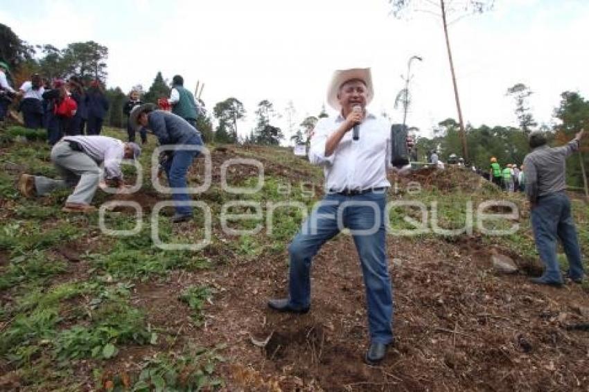 CHIGNAHUAPAN . REFORESTACIÓN