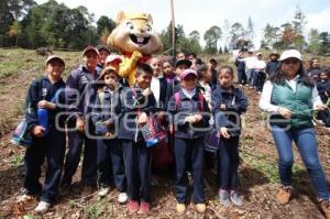 CHIGNAHUAPAN . REFORESTACIÓN