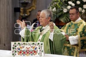 MISA DOMINICAL . CATEDRAL