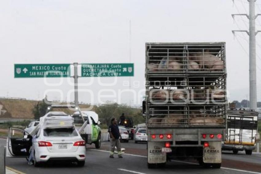 POLICÍA FEDERAL - AUTOPISTA