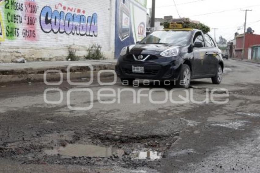 BACHES