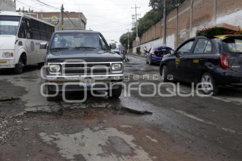 BACHES