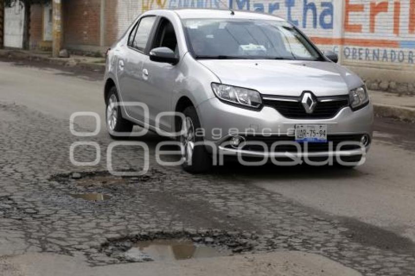 BACHES