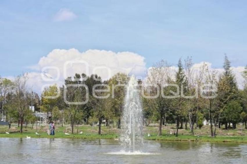 JARDÍN DEL ARTE