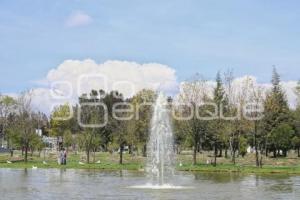 JARDÍN DEL ARTE