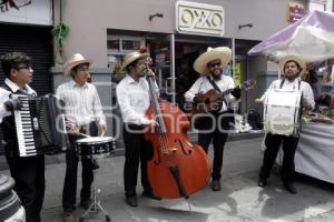 FIESTAS PATRIAS . VERBENA POPULAR