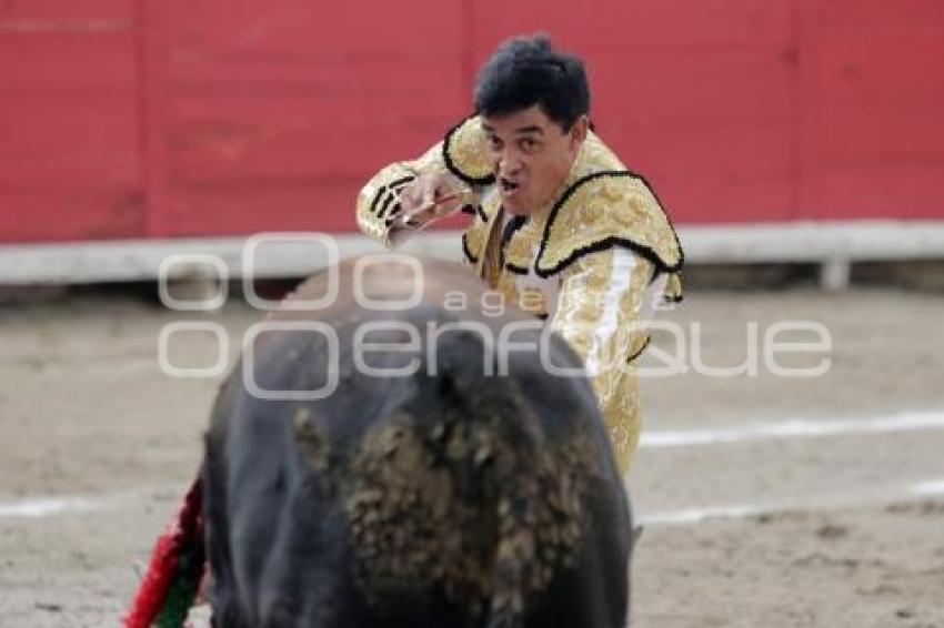 TOROS . RAFAEL ORTEGA