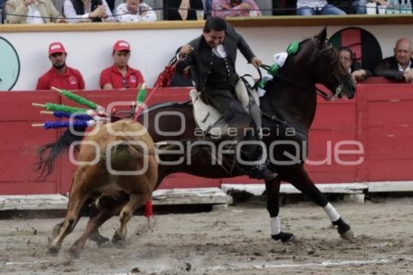 TOROS . CUAUHTÉMOC AYALA