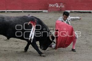 TOROS . EL ZAPATA