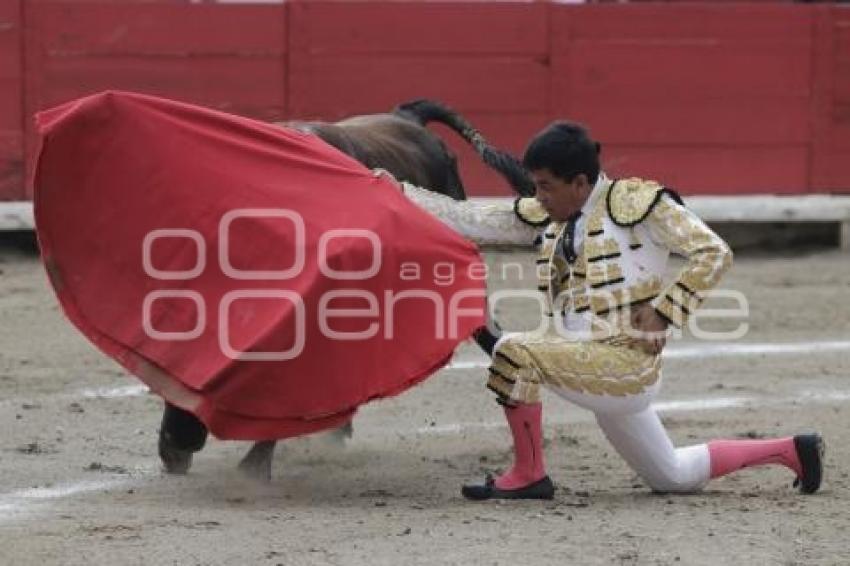 TOROS . RAFAEL ORTEGA