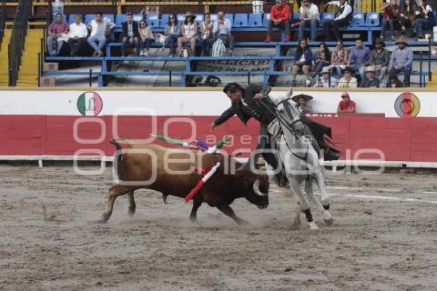 TOROS . RAFAEL ORTEGA