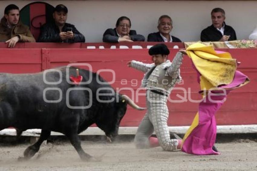 TOROS . EL ZAPATA