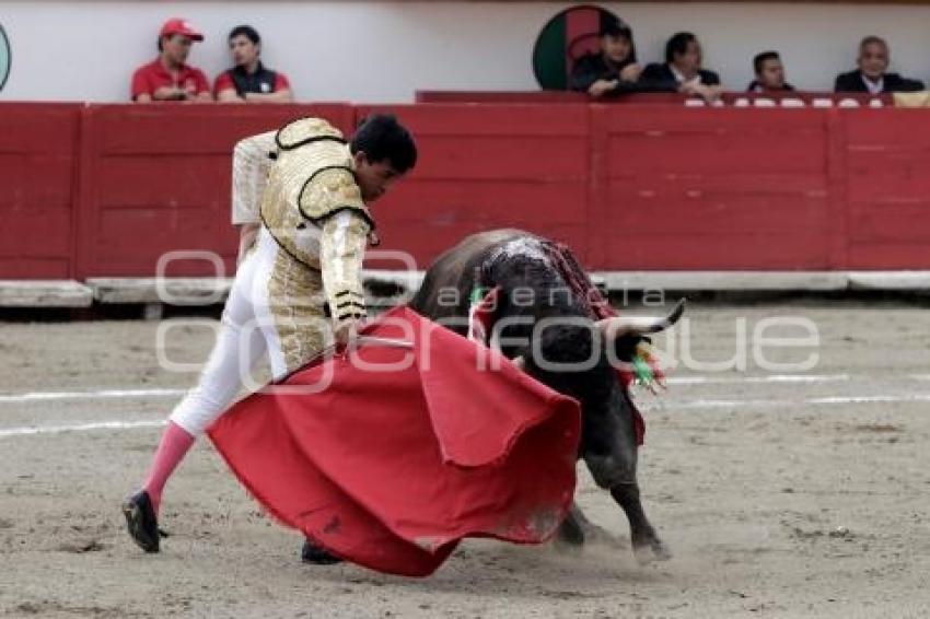 TOROS . RAFAEL ORTEGA