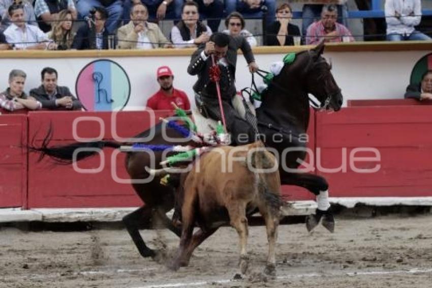 TOROS . CUAUHTÉMOC AYALA