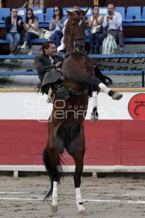 TOROS . CUAUHTÉMOC AYALA