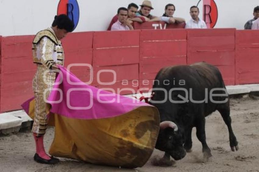 TOROS . EL ZAPATA