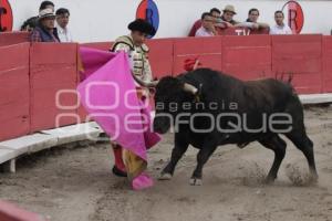 TOROS . RAFAEL ORTEGA