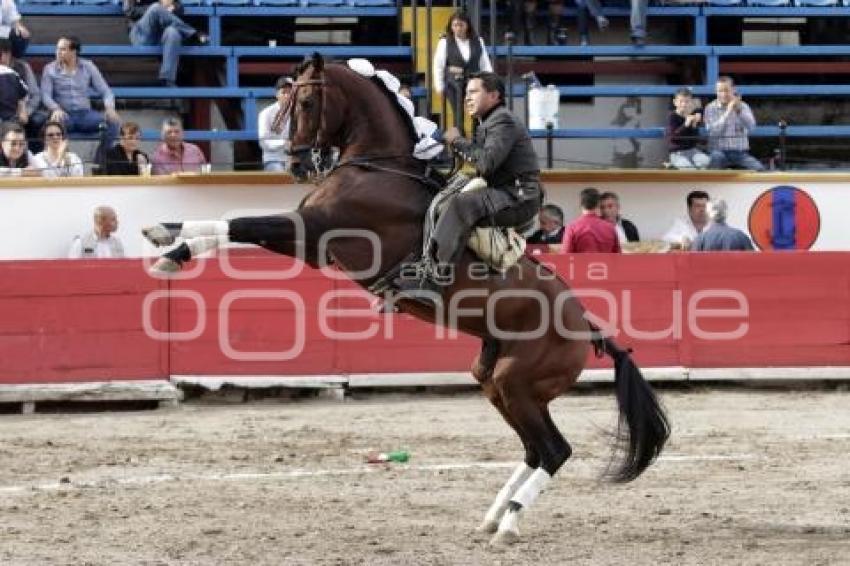 TOROS . CUAUHTÉMOC AYALA