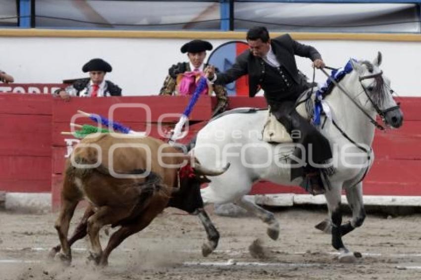 TOROS . CUAUHTÉMOC AYALA